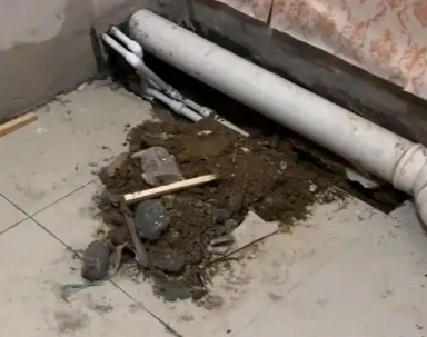 加查卫生间漏水检测哪家好
